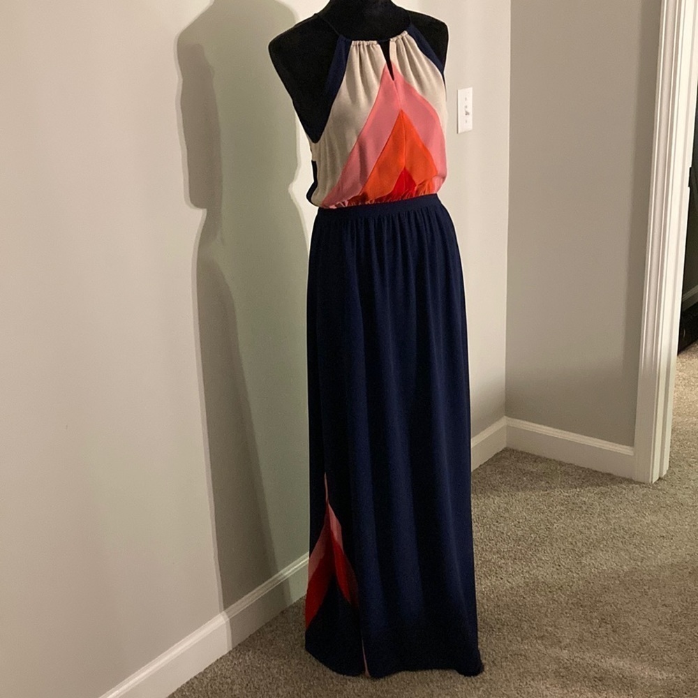 Greylin Multicolor Maxi Dress